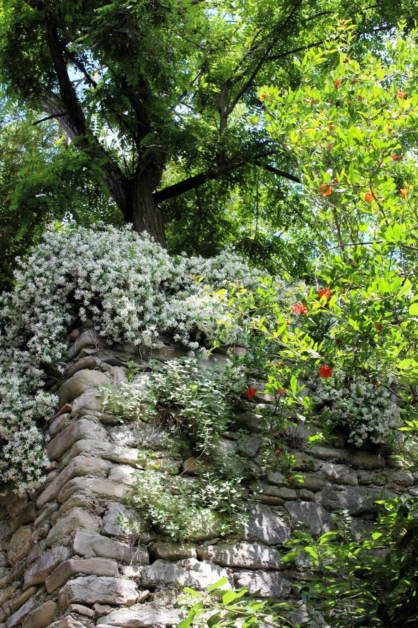 Albergo La Rocca Brisighella Εξωτερικό φωτογραφία